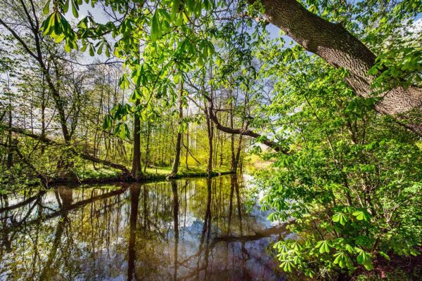 Rzeka Rega. Trzebiatów Miasto Słonia. Noclegi Trzebiatów. Noclegi Trzebusz. Krok Od Morza